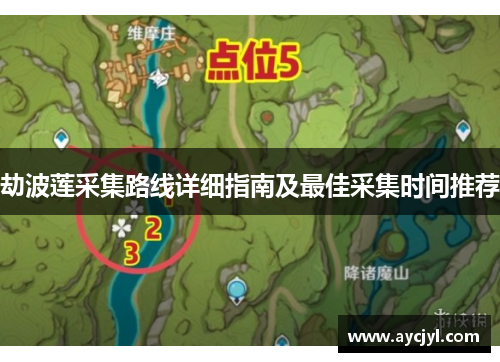 劫波莲采集路线详细指南及最佳采集时间推荐