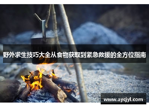 野外求生技巧大全从食物获取到紧急救援的全方位指南