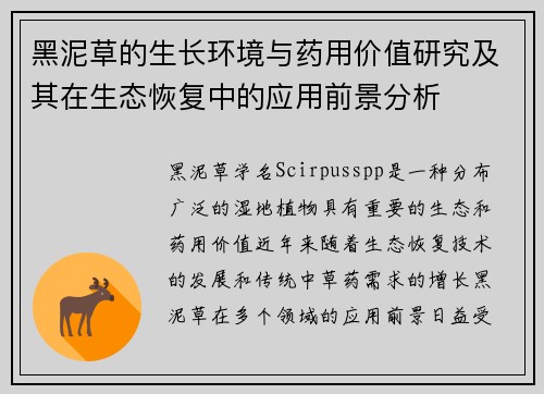 黑泥草的生长环境与药用价值研究及其在生态恢复中的应用前景分析